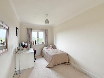Picture 20